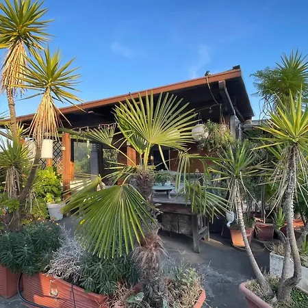 Mansarda Monolocale In Roof Garden Appartamento