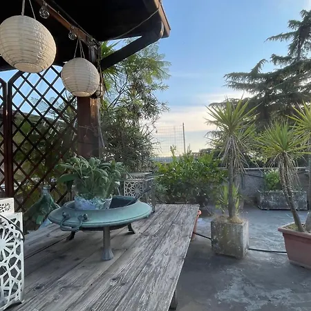 Mansarda Monolocale In Roof Garden *