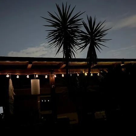 Mansarda Monolocale In Roof Garden * Roma
