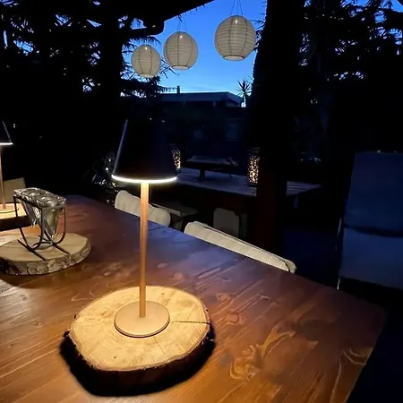 公寓 Mansarda Monolocale In Roof Garden 罗马